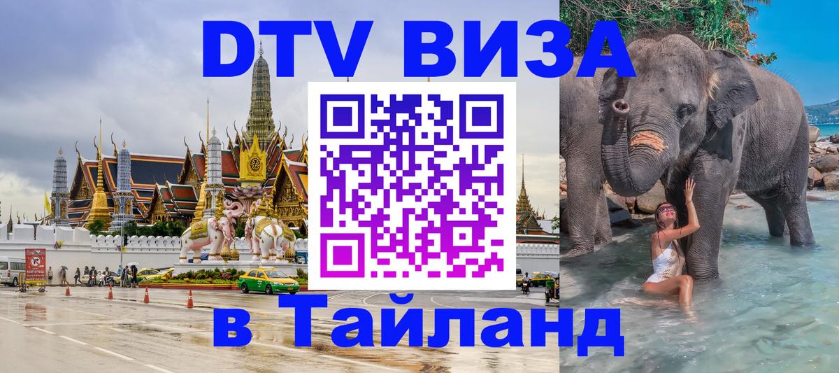Оформление DTV визы под ключ: стоимость и тарифы, только загранпаспорт - 